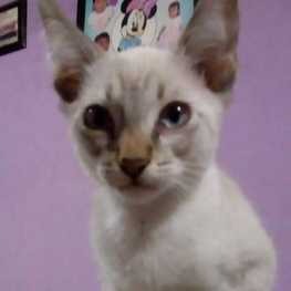 D 26262360 d316 4cc4 b451 531f8c43a2d7