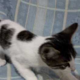 D e8ec012d 91bb 4a3c 9ac1 2bd2c0e3fee3