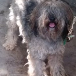 D 3800dc0d 3f54 465c a1ff 107d82e89be2