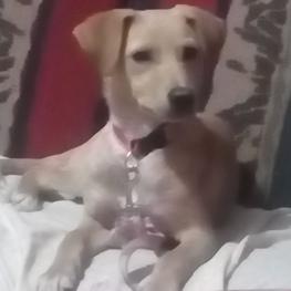 D e880b238 b3d1 4dd4 a4ba 0cfc2cd32ab9