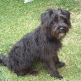 D b892f92d 81c8 4d29 b57d 3b9c61103c5d