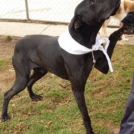 D c0435fca bd8f 468d b258 2c31fd341454