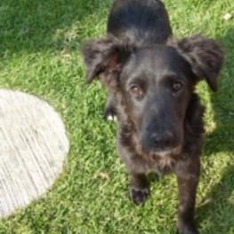 D ef038388 8dd5 43c4 9b2f b39bb1fae822