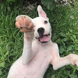 D 62c8cd6f 763c 44f6 80ca 08bb6da5cd9f