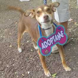 D 472b1cea 7a3c 41b9 bfed 6ac230cec124