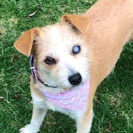 D f868e2fd b1fb 4fd3 ae35 3c3ae5c0b789