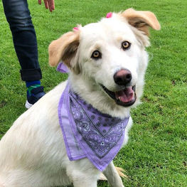 D 8f20938b beaf 4582 b342 5c463e38ab24