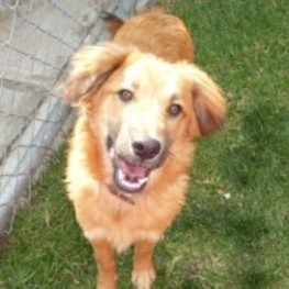 D d511a506 b5ed 4a7a 88b7 4fe97fa27a9d