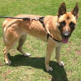 D ca7440de 2d91 452b b2a3 1c8df21554c4