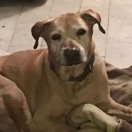 D 45abdfe1 b021 4f55 a21a 251e66ec2dd3