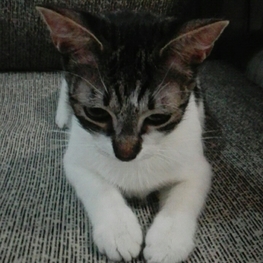 D b8b4fe89 d193 460e afce d5282f36bff8