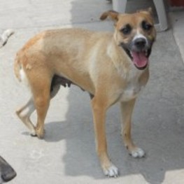 D 43bc31fc 73b5 4c6f b007 b0ac9531327d