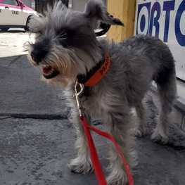 D 2b513b0f 3808 41f0 9b74 1f06f40ffbdf