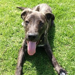 D 848ca68d 6064 43e7 86c9 382be68e5056