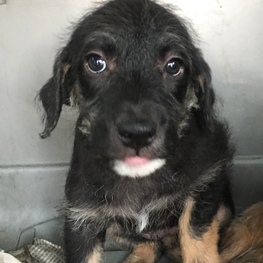 D 5427ec58 f25b 4725 b3ed 399983a79c0d