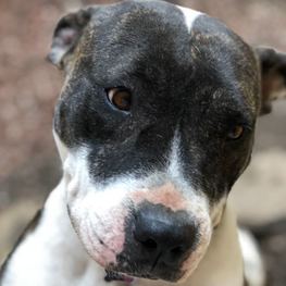 D d1fd00fd dc06 4c98 b5b2 2395823179ed