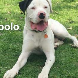 D c7983eba b777 4785 8e0a c1b0174a67cc