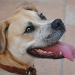 D 00b3f8cc 1846 4af8 b082 27f457ca81c3