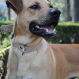 D 9d35062e b995 4930 87b4 da94dd790e8d