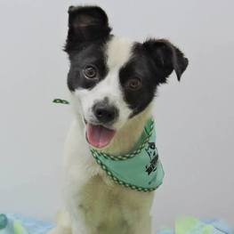 D 73133658 6059 4256 bf67 2bdd39a8f297