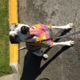 D 56358cbc 02f7 4cd1 b462 aff27eb3f829