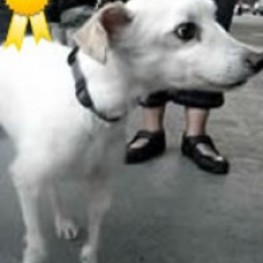 D 14b7dc72 55ef 4ce1 97d9 78105110f002