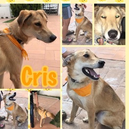 D be25ae73 0b89 4f86 b0b7 29c686145ecf