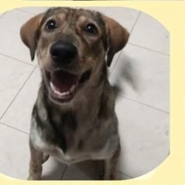 D 91dbfa13 4fb5 4095 a1d8 43441cac61f6