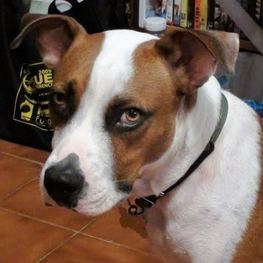 D 948669ee c00a 4a91 ab18 afd488d38c53