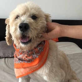 D fe4c713d f3cf 4946 8c9d 55dbc1109e61