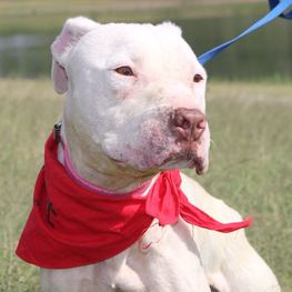 D adbd702a 8e93 4add bb23 240b6278654f