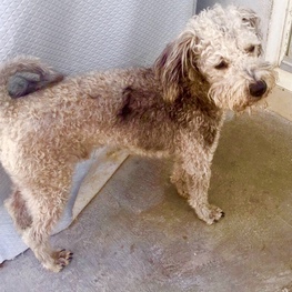 D 38526fa8 3e6e 459c 9ffb 82e18a82bff5