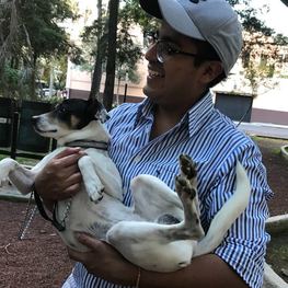 D 493e39a7 84ea 49fe 9ed2 ad506e741bcc