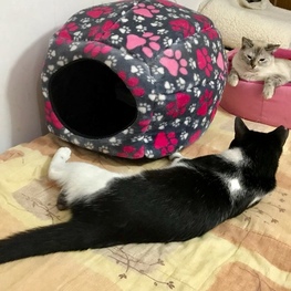 D 831b05eb 21f0 41c2 94a8 243e7238f035