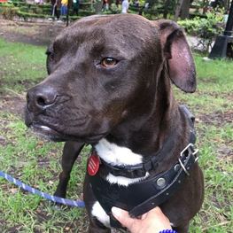 D 809b3c7a 8374 43dc b317 473654f06376