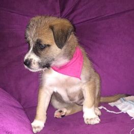 D c4a17948 2c02 4395 b8a9 8d5949b60b0a