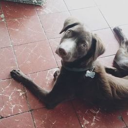 D 24f785e3 fd1c 48b6 82fd 1bb0606db73f