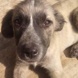 D f4f97943 8409 47c1 81cf c06a7947412f