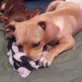 D 2dfa7358 e86a 4f8b 88d8 54d724ecdb6a