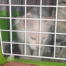 D 58347dbc 7646 4b2b b90e 3ce1f07e9dcd