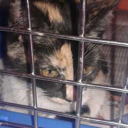 D 8f1e8454 8d29 4f7c 8c29 ebd37be78a45