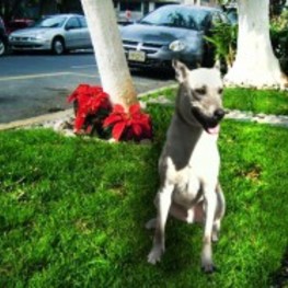 D a827324a a298 4c67 8386 7c739117873a