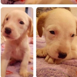 D 39fdd2c3 2313 40e3 8370 7e9ffe70865f