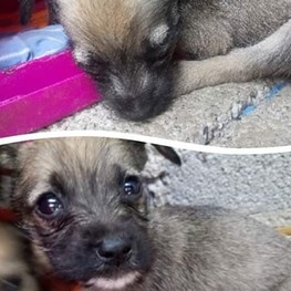 D bab1c13f 157c 4250 9c3b 609e32ad6f3b