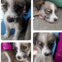 D 813850ce 2645 4be6 8858 4db1ad324752