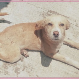 D 9c019f7c 3c05 4c73 96b0 118d6badc36f