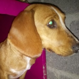 D 88762d8a aee7 4c23 9128 cf6af9594b06