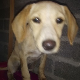 D e355b551 bcbe 414d 84a7 1b7e767f4587