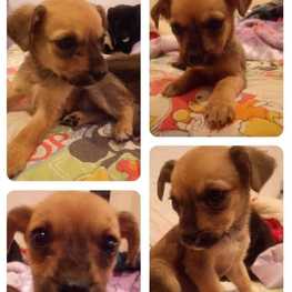 D 5fbc78d8 6337 4c8e b8ca 67f106ba5962