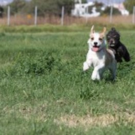 D b2fcd359 b6a3 47cb 8f07 1fdef2917066